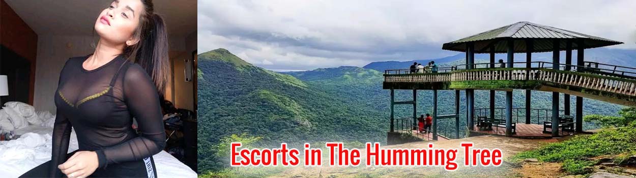 Escorts in The Humming Tree