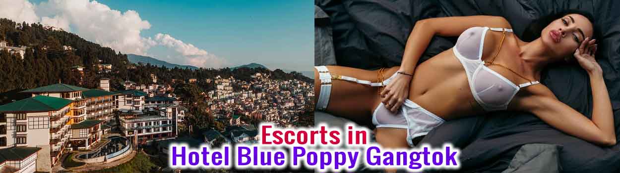 Hotel Blue Poppy Gangtok Provides Best Escorts Services