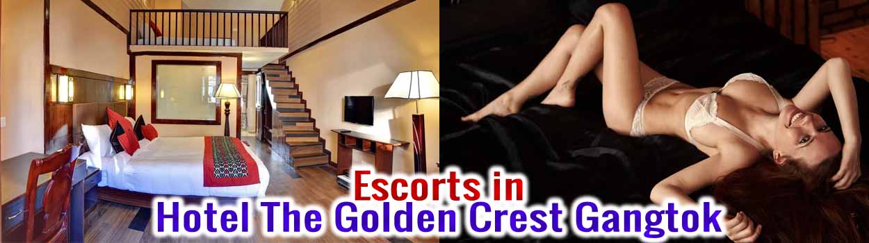 Escorts in Hotel The Golden Crest Provide Comfortable Service