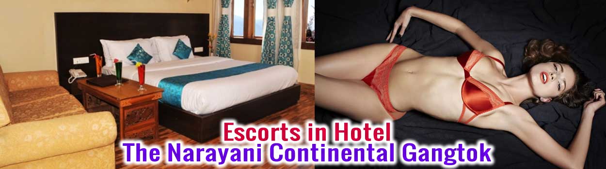 Hotel The Narayani Continental Gangtok Provides Luxury & Comfortable Services