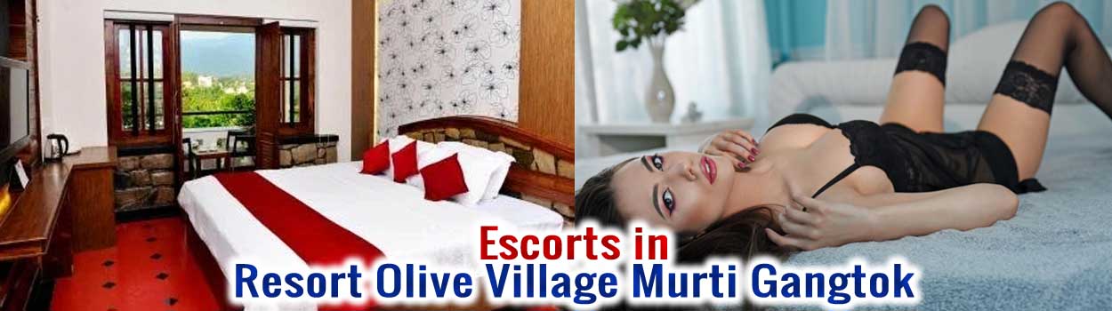 Resort Olive Village Murti Gangtok Provides Best Services