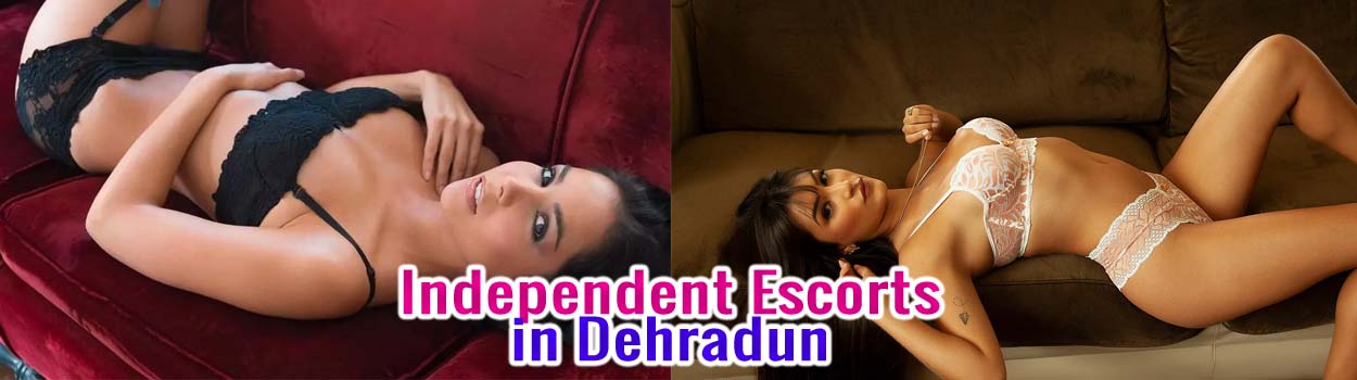 Independent Escorts Provide Premium Services