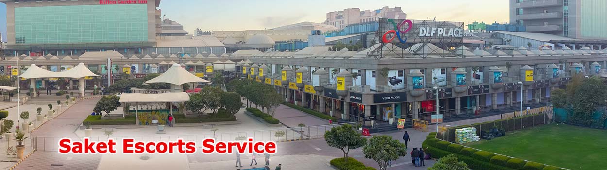 Saket Escort Service